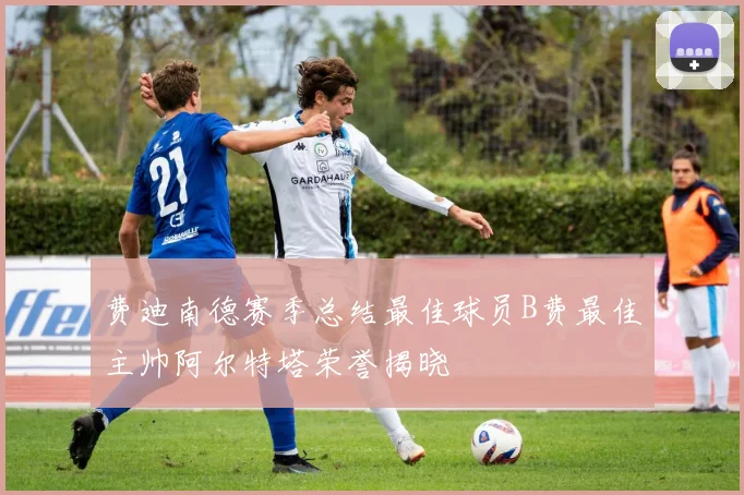 费迪南德赛季总结最佳球员B费最佳主帅阿尔特塔荣誉揭晓